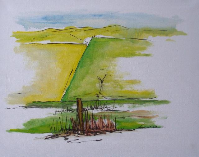 uitzicht op weilanden en duinen Bakkum.